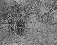 Load image into Gallery viewer, BERRIS CONOLLY: Field Trips - Travels In Britain 1976-1993 - PRE-ORDER