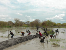 Load image into Gallery viewer, PETER CATON: Unyielding Floods - PRE-ORDER