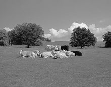 Load image into Gallery viewer, BERRIS CONOLLY: Field Trips - Travels In Britain 1976-1993 - PRE-ORDER