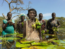 Load image into Gallery viewer, PETER CATON: Unyielding Floods - PRE-ORDER