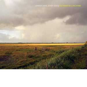 Landscapes: 2001-2003